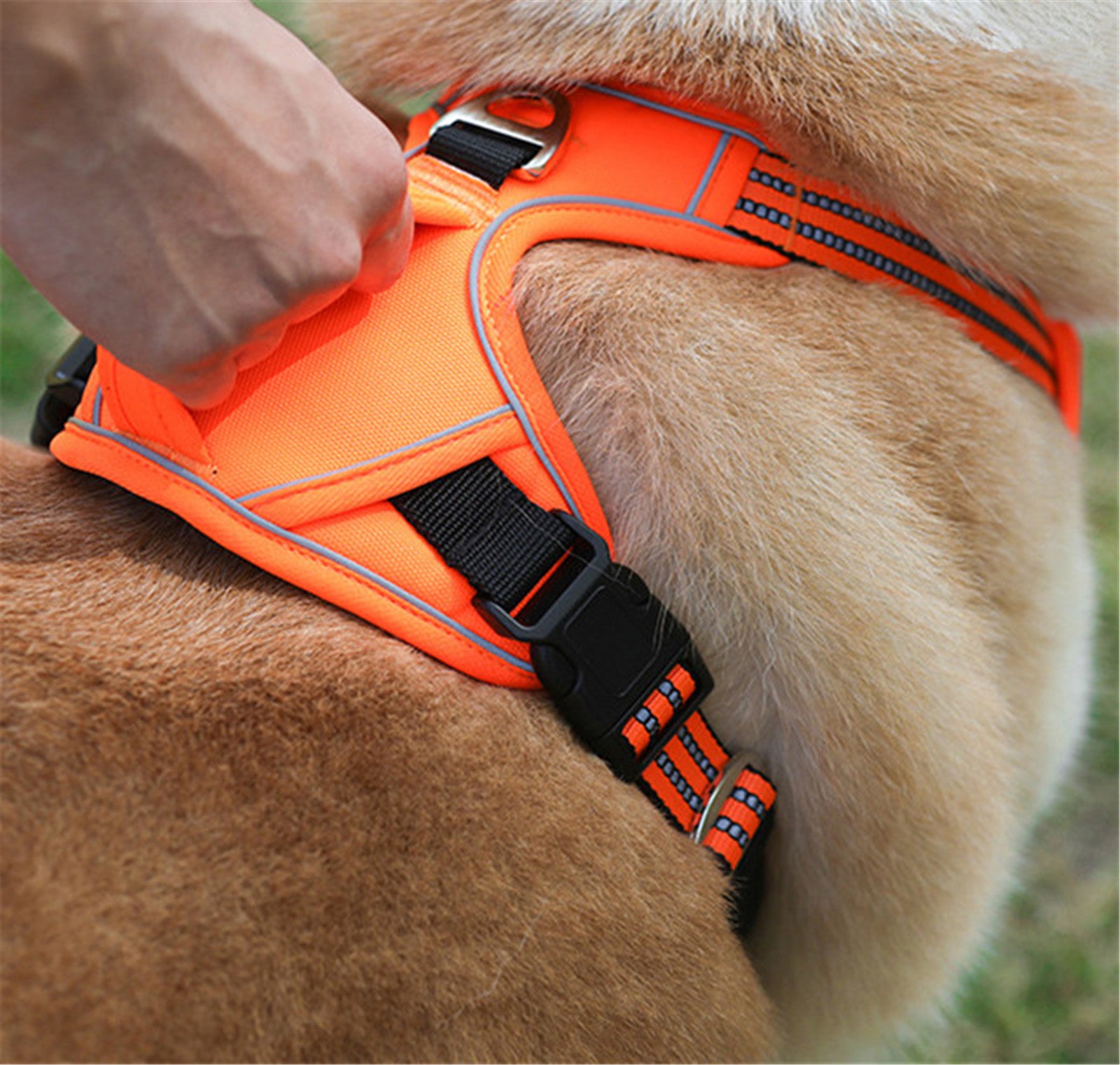 Snoopy's No-Pull Dog Harness