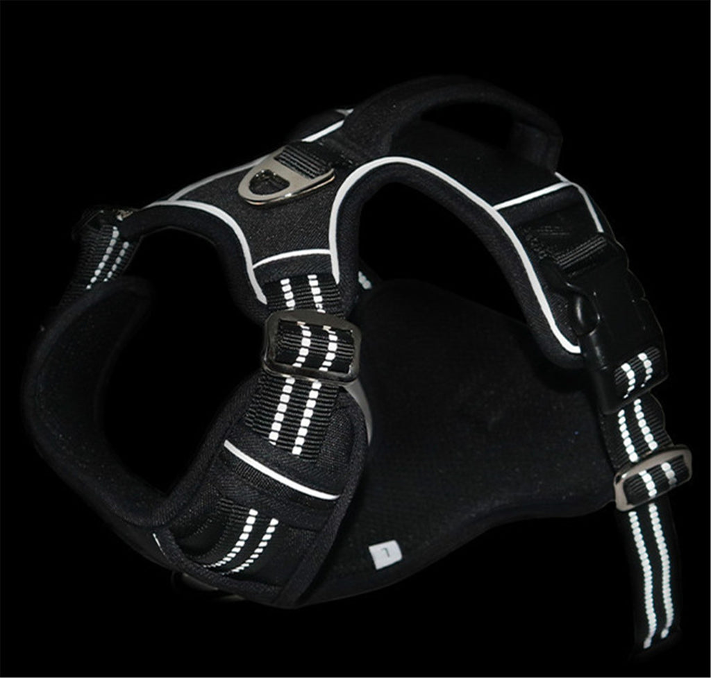 Snoopy's No-Pull Dog Harness